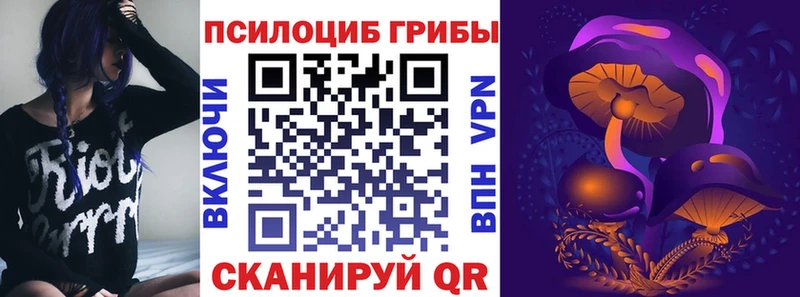 Псилоцибиновые грибы мухоморы  ОМГ ОМГ зеркало  Суоярви  купить  сайты 